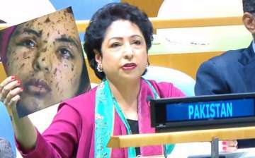 Pakistan's Permanent Representative to the UN Male