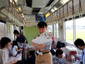 Cat Cafe Train, japan, india