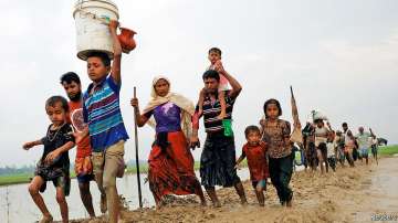 313,000 Rohingyas have fled to Bangladesh: UN