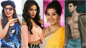 Bigg Boss 11 elimination is here, cast your vote now