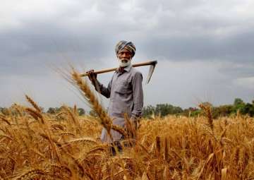 Agriculture sector didn't see reforms for 25 years: NITI Aayog Member