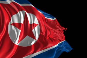 Representational pic - North Korea flag 