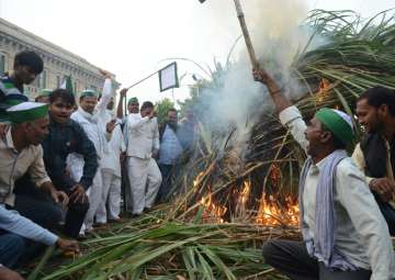 Angry sugarcane farmers burn crop outside UP Assembly