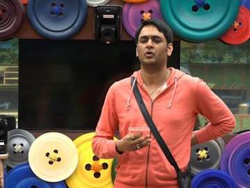 Bigg Boss 11, Vikas Gupta