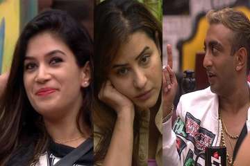 Bandgi Kalra, Shilpa Shinde, Akash Dadlani, Bigg Boss 11