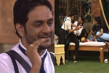 Bigg Boss 11, Vikas Gupta, Shilpa Shinde