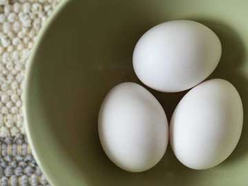 Egg prices jump 40% to Rs 7.5 per piece on tight supply