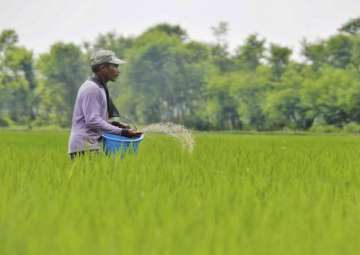 Cabinet approves Special Banking Arrangement for paying subsidies to fertiliser firms