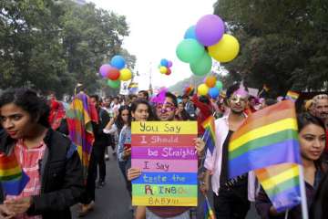 Hundreds join pride march in India, where gay sex is illegal 