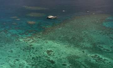 The Agincourt Reef in 2001, located about 30 miles off the coast near the northern reaches of the 1,200-mile long Great Barrier Reef.