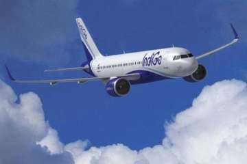 The aircraft landed back shortly to assess any possible damage to the Airbus plane as a precaution, IndiGo said.  