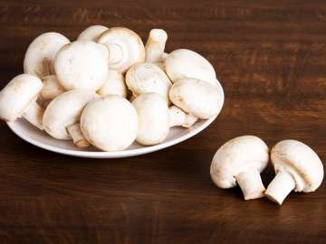 mushroom anti aging