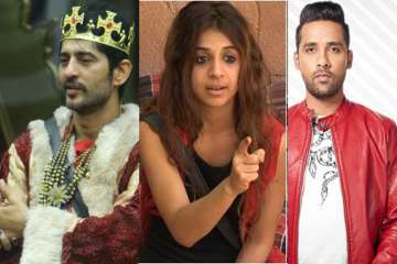 Bigg Boss 11, Hiten Tejwani, Benafsha, Puneesh