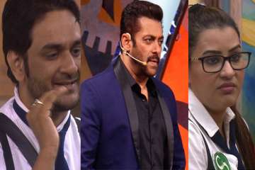 Bigg Boss 11, Salman Khan, Vikas Gupta, Shilpa Shinde