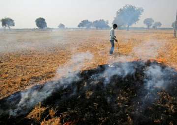 Centre to buy parali from farmers and use it with coal as fuel to generate electricity 