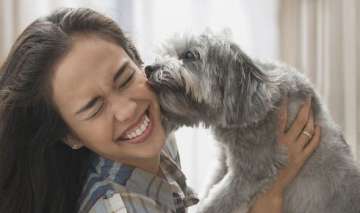 Do you know why your pet dog licks your face? 