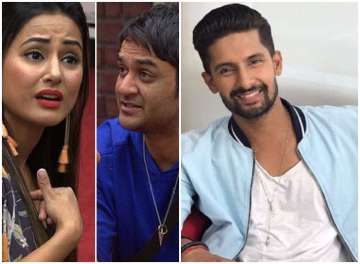 Ravi Dubey wants Hina and Vikas to stop fighting in Bigg Boss 11