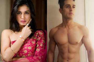 Legal troubles for Bigg Boss 11 contestant Priyank Sharma