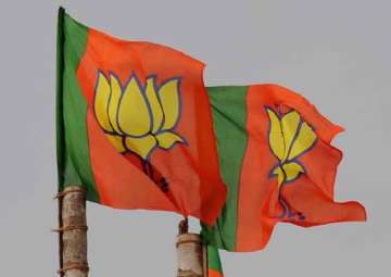 UP Civic Poll Results: Lotus blooms in temple town, Ayodhya gets its first mayor 