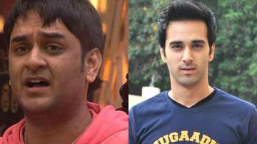 Vikas Gupta and Pulkit Samrat have worked together in television.