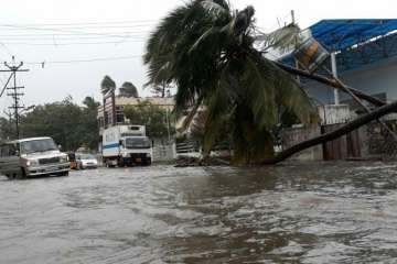 Cyclone Ockhi LIVE updates: 321 more fishermen reach Maha coast, likely to weaken subsequently 