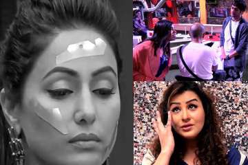 Hina Khan, Shilpa Shinde, Vikas Gupta, Bigg Boss 11