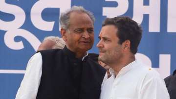 Rahul Gandhi put up nice campaign; results a win for Cong: Ashok Gehlot