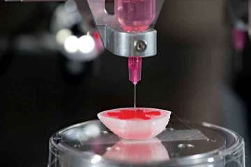 3D printing technique that can help replicating human organs developed 