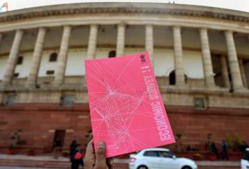 Pink Economic Survey stands up for women rights 