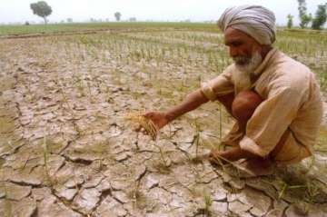 Union Budget 2018: Govt may hike agri-credit target to Rs 11 lakh crore 