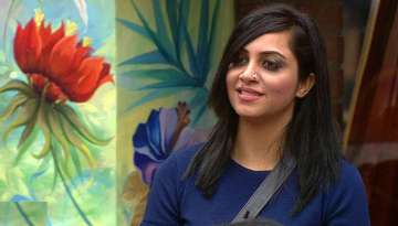 Arshi Khan, Bigg Boss 11