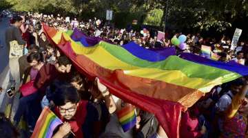 Supreme Court to review Section 377 criminalising gay sex, refers matter to larger bench. PTI.