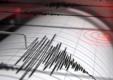 Representational pic - Tsunami alert in Alaska as 8.1 magnitude earthquake strikes southern coast