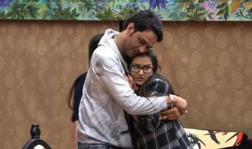 Shilpa Shinde, Vikas Gupta, Bigg Boss 11