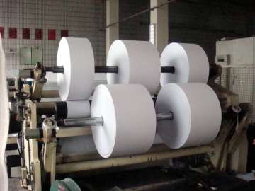 Chemi-thermo mechanical pulp is key ingredient for paper industry