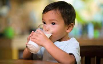 Cow's milk does not increase risk of Type 1 Diabetes in kids