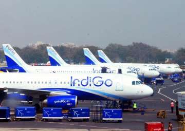 Terminal-1 IGI Airport can't be exclusively given to IndiGo: Delhi HC