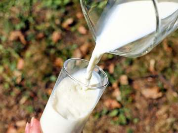 holi adulteration of milk paneer khoya