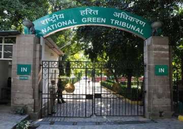 NGT directs CPCB to analyse samples of polluted Yamuna water