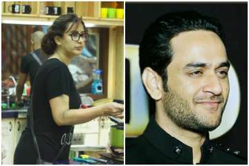 Shilpa Shinde, Vikas Gupta, Bigg Boss 11