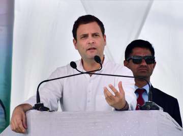 Meghalaya Assembly polls, Congress President Rahul Gandhi,