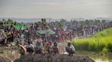 Rohingya refugees in Bangladesh