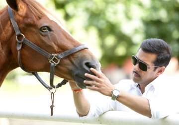 Salman Khan, horse