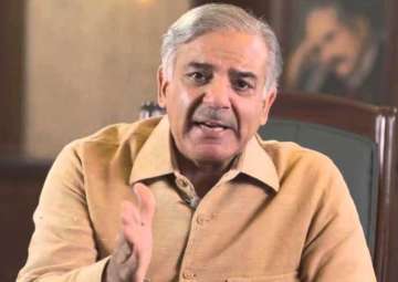 After Nawaz Sharif’s disqualification by SC, ruling PML-N elects his brother Shahbaz as party’s interim chief