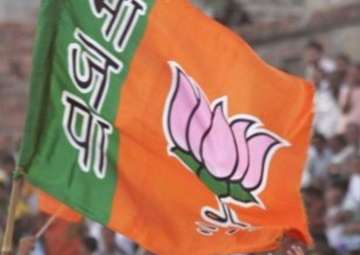 Why is it crucial for BJP to win north-east states?