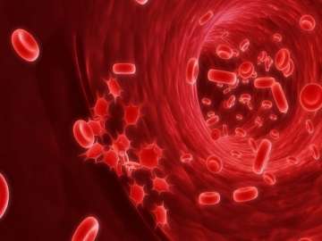 Scientists discover new possibility for untreatable blood cancer