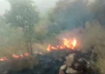 Forest fire in Theni