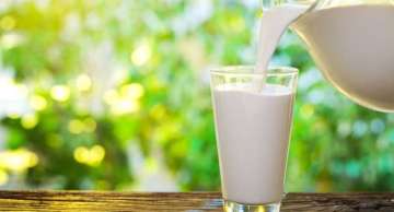 Drinking 'grassmilk' may improve heart health, says study