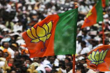 BJP sweeps Jharkhand municipal elections; CM Raghubar Das says 'victory of politics of development'