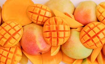 Are mangoes actually bad for dieting?